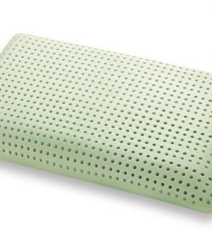 COPPIA CUSCINI GUANCIALI Ecogreen in Memory Foam Ecologico